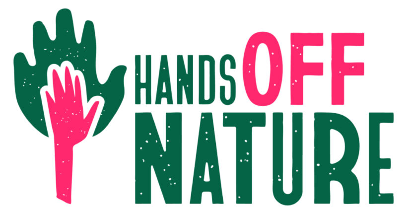 213 organisations call on Member States not to lower the protection status of the wolf